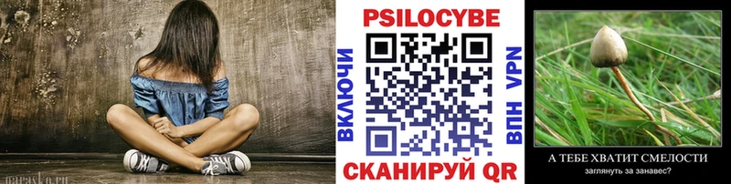 MEGA   Таруса  Галлюциногенные грибы прущие грибы 